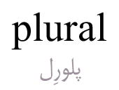 plural