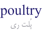 poultry