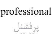 professional