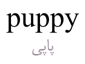 puppy