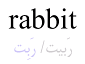 rabbit