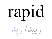 rapid