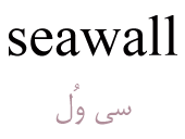 seawall